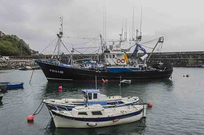 Guipúzcoa - Hondarribia 33 - puerto pesquero.jpg